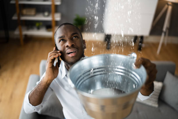 Best Water damage cleanup near me  in Telford, PA