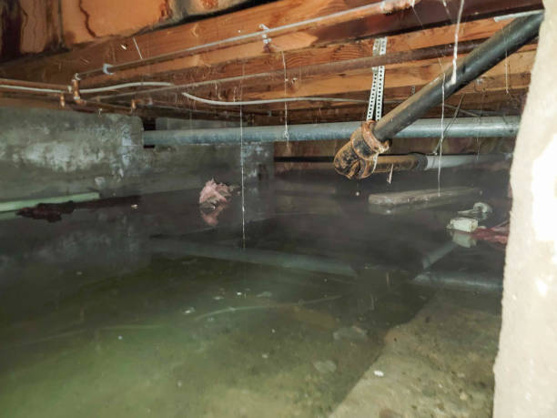 Best Fire Damage Restoration  in Telford, PA