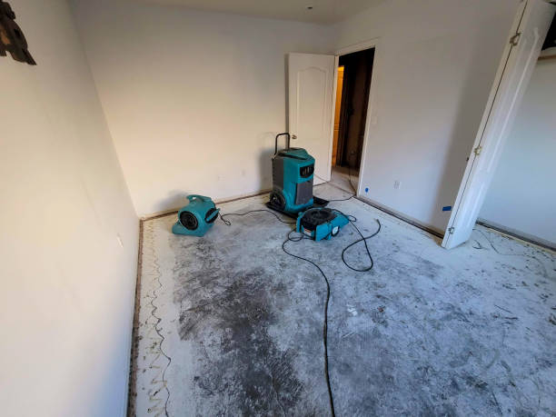 Best Mold removal after water damage  in Telford, PA