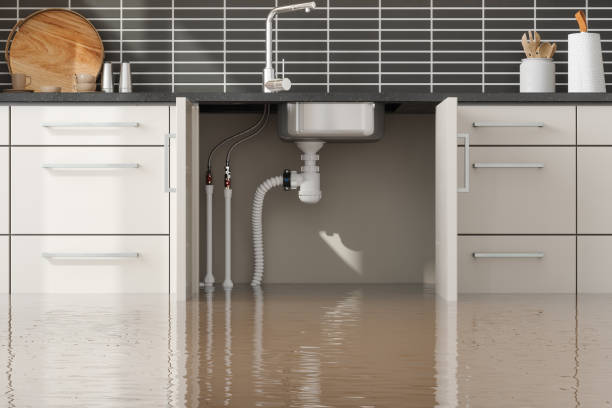 Best Flood restoration services  in Telford, PA