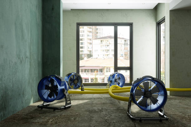 Best Water damage restoration cost  in Telford, PA